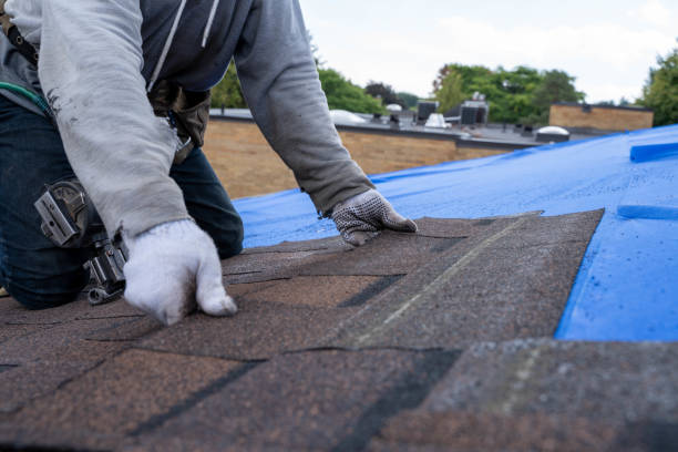 Best New Roof Installation  in Lake Barcroft, VA