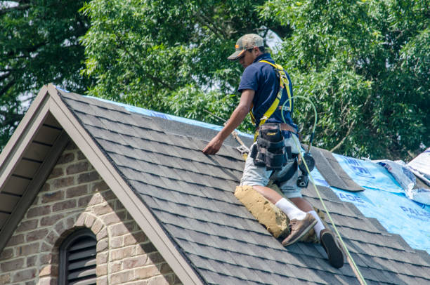 Best Gutter Installation and Roofing  in Lake Barcroft, VA